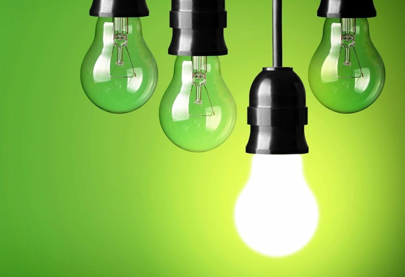 Lightbulbs on green background